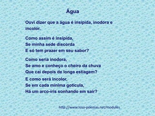 Você, certamente, não pode ir lá para o meio do sertão replantar os grotões, as florestas, as pequenas matas por onde os rios clarinhos corriam.Mas é bom que o povo inteiro tenha consciência de que é preciso salvar nossos rios.É bom que a gente possa cobrar das pessoas que podem fazer esta parte do grande trabalho: os fazendeiros, os proprietários de terra, os moradores das regiões por onde o rio corre, as autoridades, o Governador, o Prefeito e até o Presidente da República...