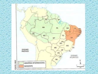 ANOTE NO SEU CADERNO ESTES LEMBRETESTEMPO DE DECOMPOSIÇÃODE MATERIAIS USUALMENTE JOGADOS NOS RIOS, NOS LAGOS E NO MAR  