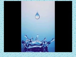  Leitura da poesia da música;