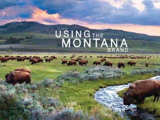 Montana Office of Tourism GoalsBuild awareness for Montana as a vacation destinationIncrease trip consideration/intentMove Montana into the target audience’s consideration setSupport tourism partners & private industry in increasing revenue