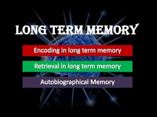 Long Term Memory
 