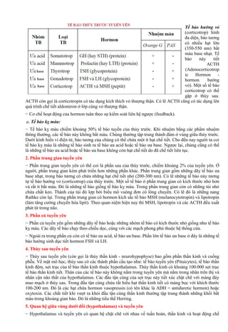 Tế bào hướng vỏ
(corticotrop) hình
đa diện, bào tương
có nhiều hạt lớn
(350-550 nm) bắt
màu base nhạt. Tế
bào này tiết
ACTH
(Adenocorticotrop
ic Hormon -
hormon hướng
vỏ). Một số tế bào
corticotrop có thể
gặp ở thùy sau.
ACTH còn gọi là corticotropin có tác dụng kích thích vỏ thượng thận. Có lẽ ACTH cũng có tác dụng lên
quá trình chế tiết aldosteron ở lớp cùng vỏ thượng thận.
− Cơ chế hoạt động của hormon tuân theo sự kiểm soát liên hệ ngược (feedback).
c. Tế bào kỵ màu:
− Tế bào kỵ màu chiếm khoảng 50% tế bào tuyến của thùy trước. Khi nhuộm bằng các phẩm nhuộm
thông thường, các tế bào này không bắt màu. Chúng thường tập trung thành đám ở vùng giữa thùy trước.
Dưới kính hiển vi điện tử, bào tương của chúng có thể chứa một ít hạt chế tiết. Cho đến nay người ta coi
tế bào kỵ màu là những tế bào sinh ra tế bào ưa acid hoặc tế bào ưa base. Ngược lại, chúng cũng có thể
là những tế bào ưa acid hoặc tế bào ưa base không còn hạt chế tiết do đã chế tiết liên tục.
2. Phần trung gian tuyến yên
− Phần trung gian tuyến yên có thể coi là phần sau của thùy trước, chiếm khoảng 2% của tuyến yên. Ở
người, phần trung gian kém phát triển hơn những phần khác. Phần trung gian gồm những dãy tế bào ưa
base nhạt, trong bào tương có chứa những hạt chế tiết nhỏ (200-300 nm). Có lẽ những tế bào này tương
tự tế bào hướng vỏ (corticotrop) của thùy trước. Một số tế bào ở phần trung gian có kích thước nhỏ hơn
và rất ít bắt màu. Đó là những tế bào giống tế bào kỵ màu. Trong phần trung gian còn có những túi nhỏ
chứa chất keo. Thành của túi đó lợp bởi biểu mô vuông đơn có lông chuyển. Có lẽ đó là những nang
Rathke còn lại. Trong phần trung gian có hormon kích sắc tố bào MSH (melanocytotropin) và lipotropin
(làm tăng cường chuyển hóa lipit). Theo quan niệm hiện nay thì MSH, lipotropin và các ACTH đều xuất
phát từ trong não.
3. Phần củ tuyến yên
− Phần củ tuyến yên gồm những dãy tế bào hoặc những nhóm tế bào có kích thước nhỏ giống như tế bào
kỵ màu. Các dãy tế bào chạy theo chiều dọc, cùng với các mạch phong phú thuộc hệ thống cửa.
− Ngoài ra trong phần củ còn có tế bào ưa acid, tế bào ưa base. Phần lớn tế bào ưa base ở đây là những tế
bào hướng sinh dục tiết hormon FSH và LH.
4. Thùy sau tuyến yên
− Thùy sau tuyến yên (còn gọi là thùy thần kinh - neurohypophyse) bao gồm phần thần kinh và cuống
phễu. Về mặt mô học, thùy sau có các thành phần cấu tạo như: tế bào tuyến yên (Pituicytes), tế bào thần
kinh đệm, sợi trục của tế bào thần kinh thuộc hypothalamus. Thùy thần kinh có khoảng 100.000 sợi trục
tế bào thần kinh tiết. Thân của các tế bào này không nằm trong tuyến yên mà nằm trong nhân trên thị và
nhân cận não thất của hypothalamus. Các đầu tận cùng của sợi trục này tiết xúc chặt chẽ với màng đáy
mao mạch ở thùy sau. Trong đầu tận cùng chứa rất hiều hạt thần kinh tiết có màng bọc với khích thước
100-200 nm. Đó là các hạt chứa hormon vasopressin (có tên khác là ADH = antiduretic hormon) hoặc
oxytoxin. Các chất tiết khi vượt ra khỏi đầu tận cùng thần kinh thường tập trung thành những khối bắt
màu trong khoảng gian bào. Đó là những tiểu thể Herring.
5. Quan hệ giữa vùng dưới đồi (hypothalamus) và tuyến yên
− Hypothalamus và tuyến yên có quan hệ chặt chẽ với nhau về tuần hoàn, thần kinh và hoạt động chế
 