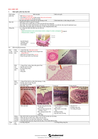 Comprehensive Overview of Epithelial and Connective Tissue Structures ...
