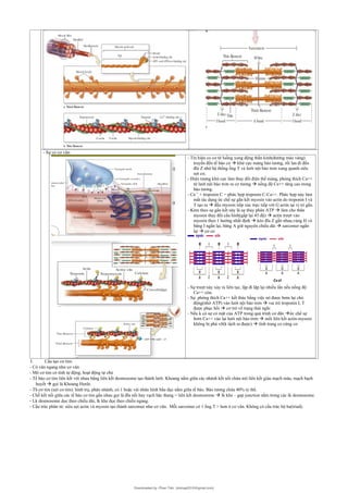 Comprehensive Overview of Epithelial and Connective Tissue Structures ...