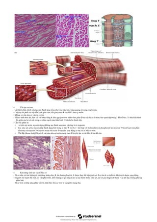 Comprehensive Overview of Epithelial and Connective Tissue Structures ...