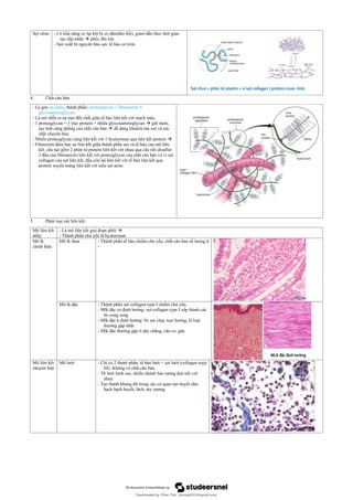 Comprehensive Overview of Epithelial and Connective Tissue Structures ...
