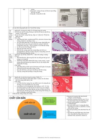 Comprehensive Overview of Epithelial and Connective Tissue Structures ...