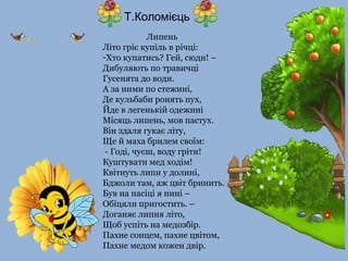 Т.Коломієць
Липень
Літо гріє купіль в річці:
-Хто купатись? Гей, сюди! –
Дибуляють по травичці
Гусенята до води.
А за ними по стежині,
Де кульбаби ронять пух,
Йде в легенькій одежині
Місяць липень, мов пастух.
Він здаля гукає літу,
Ще й маха брилем своїм:
- Годі, чуєш, воду гріти!
Куштувати мед ходім!
Квітнуть липи у долині,
Бджоли там, аж цвіт бринить.
Був на пасіці я нині –
Обіцяли пригостить. –
Доганяє липня літо,
Щоб успіть на медозбір.
Пахне сонцем, пахне цвітом,
Пахне медом кожен двір.
 