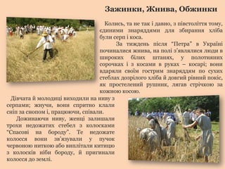 Зажинки, Жнива, Обжинки
Колись, та не так і давно, з півстоліття тому,
єдиними знаряддями для збирання хліба
були серп і коса.
За тиждень після “Петра” в Україні
починалися жнива, на полі з’являлися люди в
широких білих штанях, у полотняних
сорочках і з косами в руках – косарі; вони
вдаряли своїм гострим знаряддям по сухих
стеблах дозрілого хліба й довгий рівний покіс,
як простелений рушник, лягав стрічкою за
кожною косою.
Дівчата й молодиці виходили на ниву з
серпами; жнучи, вони спритно клали
сніп за снопом і, працюючи, співали.
Дожинаючи ниву, женці залишали
трохи недожатих стебел з колосками
“Спасові на бороду”. Те недожате
колосся вони зв’язували у пучок
червоною ниткою або виплітали китицю
з колосків ніби бороду, й пригинали
колосся до землі.
 
