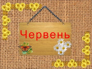 Червень
 
