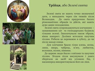 Трійця, або Зелені свята
Зелені свята не мають точно визначеної
дати, а випадають через сім тижнів після
Великодня. До свята приурочено багато
різноманітних обрядів та дійств, які мають
дуже давнє походження.
Зелені свята супроводжуються клечанням –
замаюванням хат та господарських будівель
гілками зелені. Закосичували також образи,
вікна навхрест. Долівки встеляли пахучим
зіллям. Робили це переважно в суботу, до чи
після заходу сонця.
Для клечання брали гілки клена, ясена,
липи, явора, чабрець, м’яту, любисток,
волошки, полин, півники.
До церкви люди йшли з квітами та пахучим
зіллям. Згодом зілля висушували і довго
зберігали як засіб від усіляких бід, і
насамперед використовували його як ліки.
 