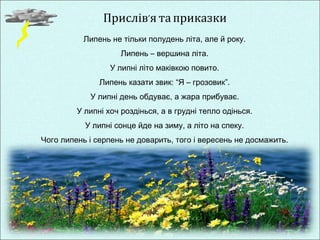 Прислів’я та приказки 
Липень не тільки полудень літа, але й року. 
Липень – вершина літа. 
У липні літо маківкою повито. 
Липень казати звик: “Я – грозовик”. 
У липні день обдуває, а жара прибуває. 
У липні хоч роздінься, а в грудні тепло одінься. 
У липні сонце йде на зиму, а літо на спеку. 
Чого липень і серпень не доварить, того і вересень не досмажить. 
 