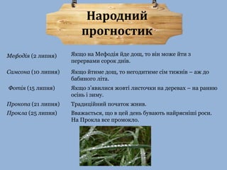 Народний 
прогностик 
Якщо на Мефодія йде дощ, то він може йти з 
перервами сорок днів. 
Мефодія (2 липня) 
Самсона (10 липня) Якщо йтиме дощ, то негодитиме сім тижнів – аж до 
бабиного літа. 
Фотія (15 липня) Якщо з’явилися жовті листочки на деревах – на ранню 
осінь і зиму. 
Прокопа (21 липня) Традиційний початок жнив. 
Прокла (25 липня) Вважається, що в цей день бувають найрясніші роси. 
На Прокла все промокло. 
 
