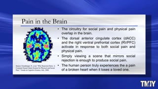 Pain in the Brain
• The circuitry for social pain and physical pain
overlap in the brain.
• The dorsal anterior cingulate cortex (dACC)
and the right ventral prefrontal cortex (RVPFC)
activate in response to both social pain and
physical pain.
• Simply viewing a scene that mirrors social
rejection is enough to produce social pain.
• The human person truly experiences the a pain
of a broken heart when it loses a loved one.
Source: Eisenberger, N., et al, “Why Rejection Hurts: A
Common Neural Alarm System for Physical and Social
Pain,” Trends in Cognitive Science, July, 2008.
 