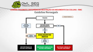 LESÕES TRAUMATO ORTOPÉDICAS RESTRIÇÃO DO MOVIMENTO DA COLUNA - RMC
GuidelineNorueguês
 
