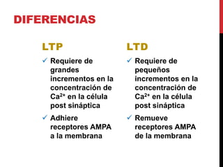 DIFERENCIAS
LTP
 Requiere de
grandes
incrementos en la
concentración de
Ca2+ en la célula
post sináptica
 Adhiere
receptores AMPA
a la membrana
 Requiere de
pequeños
incrementos en la
concentración de
Ca2+ en la célula
post sináptica
 Remueve
receptores AMPA
de la membrana
LTD
 