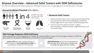 Disease Overview – Advanced Solid Tumors with DDR Deficiencies
NASDAQ: LTRN 20
LP-184 has Blockbuster Potential Across Multiple Cancers as a Single Agent or in Combination Therapy
Annual US Market Potential: $14+ Billion
1 in 4
people have solid
tumors with DDR
Deficiencies
Pancreatic
Cancer
Triple Negative
Breast Cancer
Bladder
Cancer
Lung Cancer
• Advanced solid tumor cancers, having spread beyond the
primary site, are often more challenging to treat than
earlier stage tumors due to their advanced progression.
• Current treatment options include: surgery,
chemotherapy, radiation therapy, targeted therapy, and
immunotherapy
(DDR Deficient Solid Tumors)
Advanced Solid Tumors
DDR is essential for maintaining genomic stability by repairing different types of DNA damage. Inhibition of DDR has
been shown to increase the effectiveness of anticancer immunotherapies
DNA Damage Response (DDR) Deficiency
Cancer cells with high underlying levels of
DNA damage are more dependent on DDR for
survival when compared to normal cells
DDR Deficiencies result in the accumulation of
DNA damage, which produces an “Achiles Heel”
for drugs leveraging synthetic lethality
 