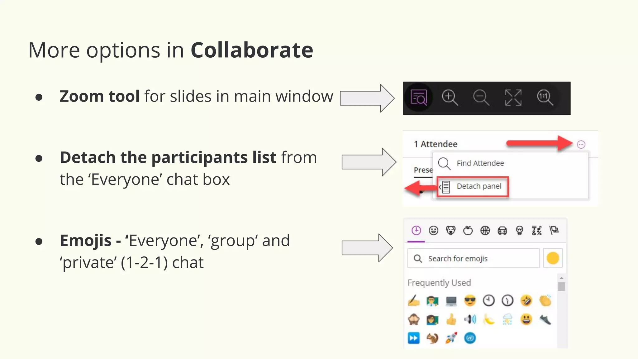 More options in Collaborate
● Zoom tool for slides in main window
● Detach the participants list from
the ‘Everyone’ chat box
● Emojis - ‘Everyone’, ‘group‘ and
‘private’ (1-2-1) chat
 