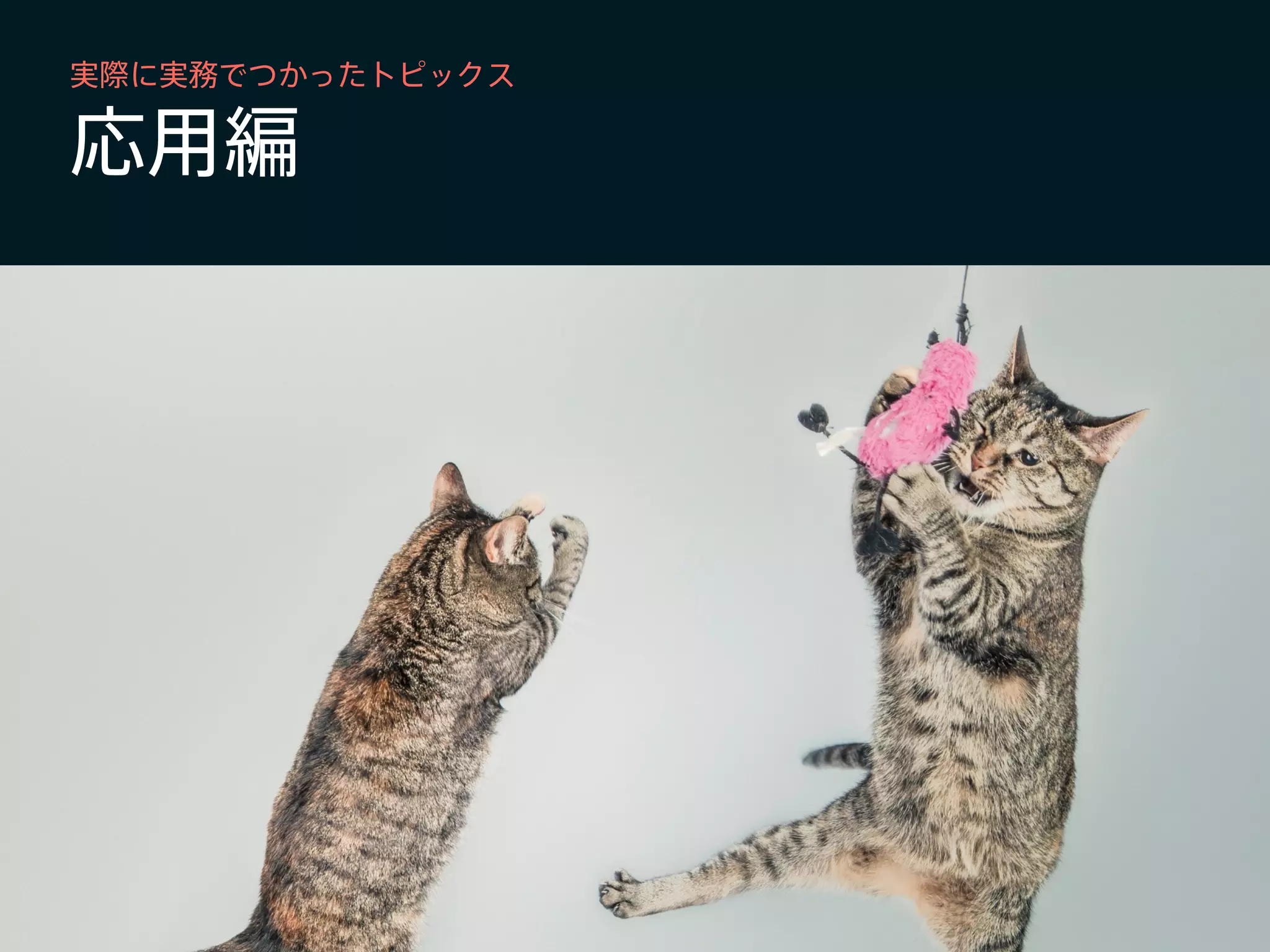 応用編
実際に実務でつかったトピックス
 