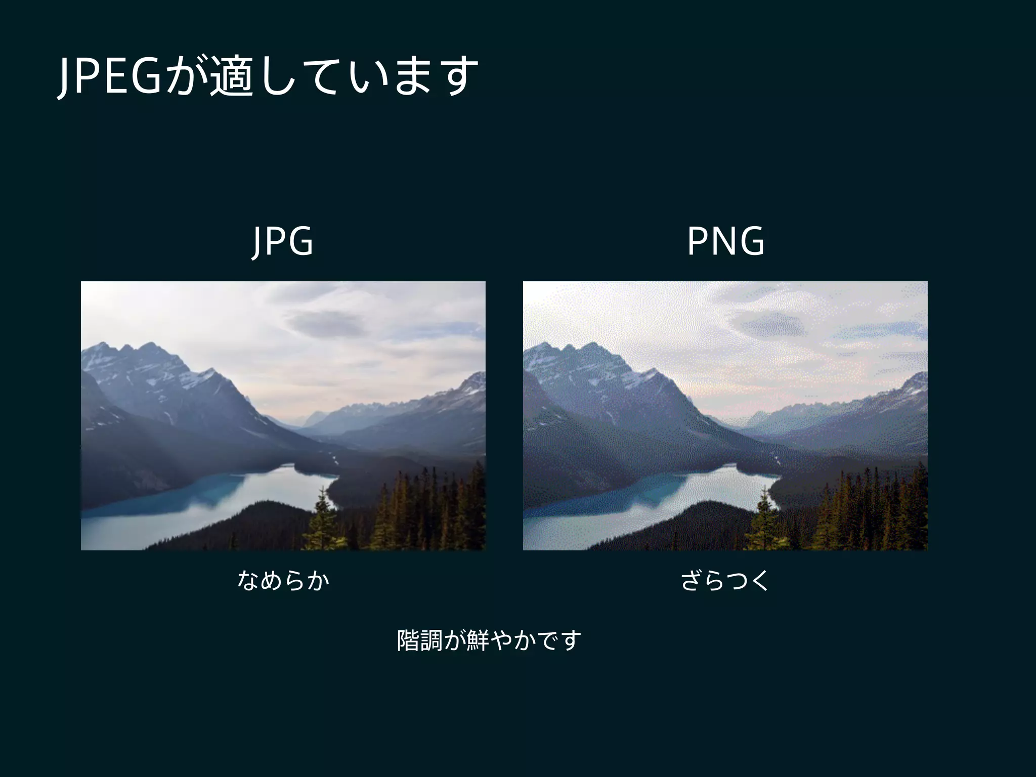 JPEGが適しています
JPG PNG
なめらか ざらつく
階調が鮮やかです
 