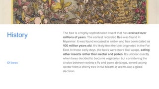 Bees Origin Bees | PPTX