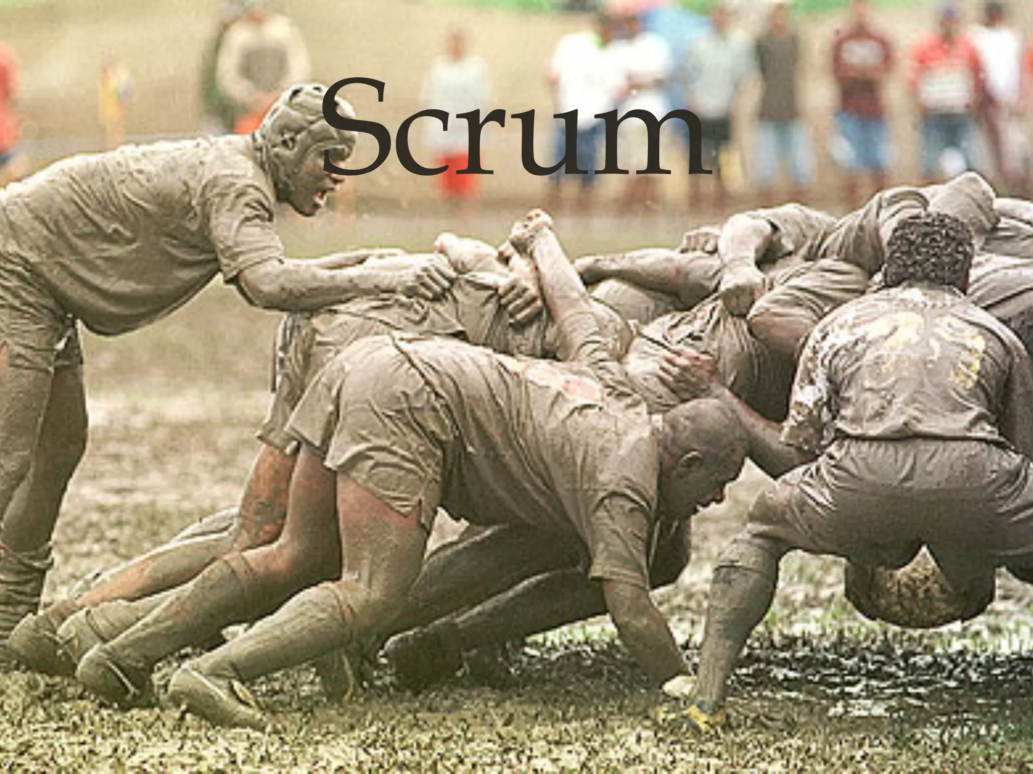 Scrum
 