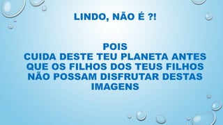 LINDO, NÃO É ?!
POIS
CUIDA DESTE TEU PLANETA ANTES
QUE OS FILHOS DOS TEUS FILHOS
NÃO POSSAM DISFRUTAR DESTAS
IMAGENS
 