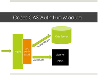 Case: CAS Auth Lua Module 
Nginx 
Lua 
Auth 
Mod 
Authorize 
/panel 
Apps 
 