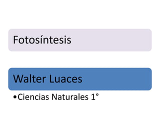 Fotosíntesis
Walter Luaces
•Ciencias Naturales 1°

 