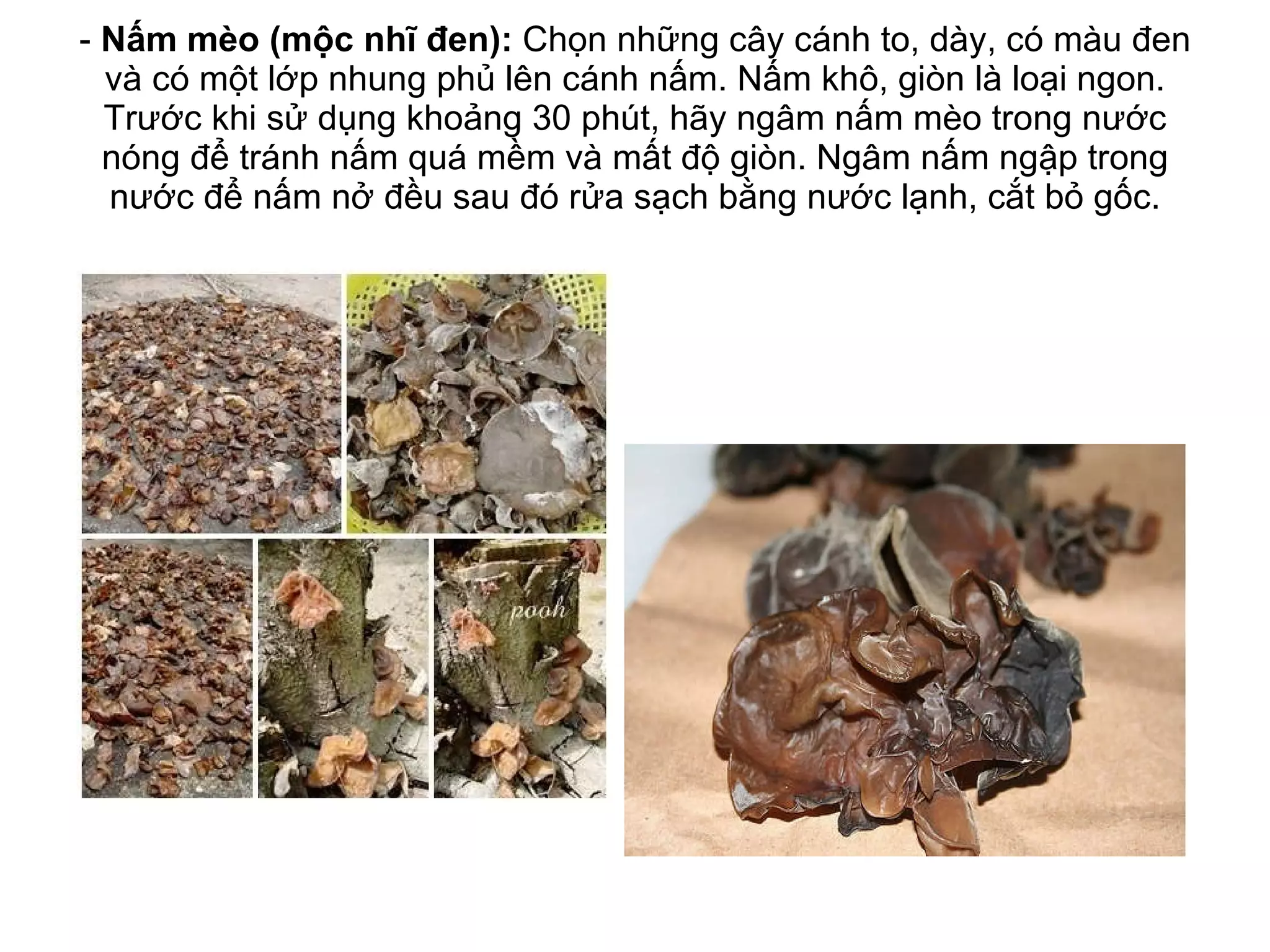 -  Nấm mèo (mộc nhĩ đen):  Chọn những cây cánh to, dày, có màu đen và có một lớp nhung phủ lên cánh nấm. Nấm khô, giòn là loại ngon. Trước khi sử dụng khoảng 30 phút, hãy ngâm nấm mèo trong nước nóng để tránh nấm quá mềm và mất độ giòn. Ngâm nấm ngập trong nước để nấm nở đều sau đó rửa sạch bằng nước lạnh, cắt bỏ gốc. 