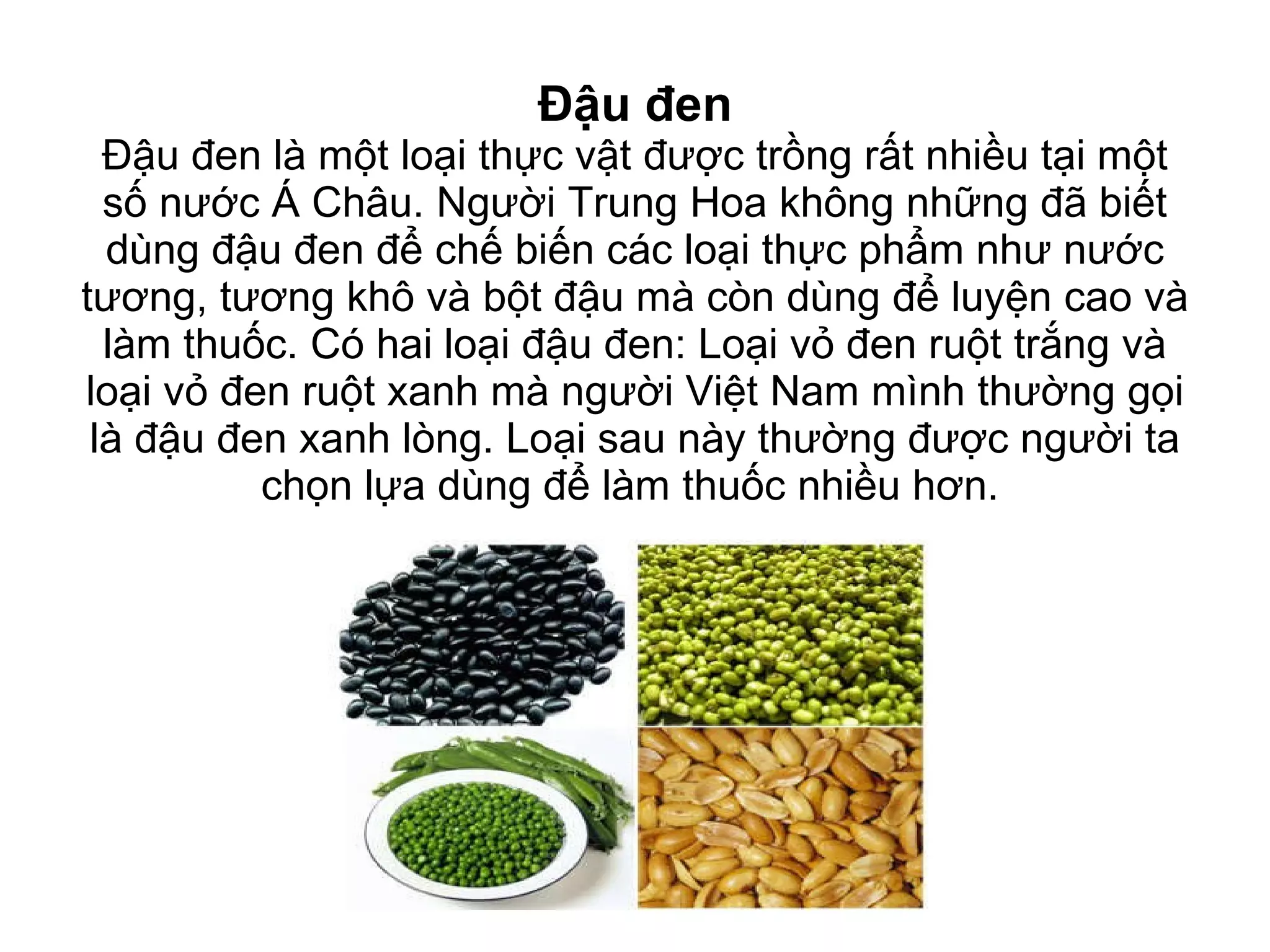 Đậu đen Đậu đen là một loại thực vật được trồng rất nhiều tại một số nước Á Châu. Người Trung Hoa không những đã biết dùng đậu đen để chế biến các loại thực phẩm như nước tương, tương khô và bột đậu mà còn dùng để luyện cao và làm thuốc. Có hai loại đậu đen: Loại vỏ đen ruột trắng và loại vỏ đen ruột xanh mà người Việt Nam mình thường gọi là đậu đen xanh lòng. Loại sau này thường được người ta chọn lựa dùng để làm thuốc nhiều hơn.   