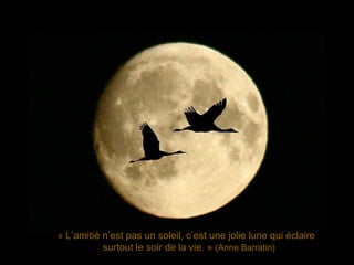 « L’amitié n’est pas un soleil, c’est une jolie lune qui éclaire
surtout le soir de la vie. » (Anne Barratin)