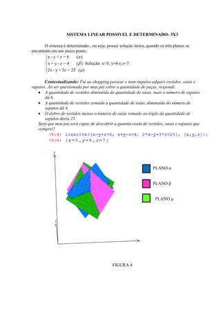 SISTEMA LINEAR POSSIVEL E DETERMINADO- 3X3

       O sistema é determinado , ou seja, possui solução única, quando os três planos se
encontram em um único ponto.
        x-y+z = 6       ( )
        x+y-z = 4       ( ) Solução: x=5, y=6 e z=7
        2x - y + 3z = 25 ( )

       Contextualizando: Fui ao shopping passear e num impulso adquiri vestidos, saias e
sapatos. Ao ser questionada por meu pai sobre a quantidade de peças, respondi:
       A quantidade de vestidos diminuída da quantidade de saias, mais o número de sapatos
       dá 6.
       A quantidade de vestidos somada a quantidade de saias, diminuída do número de
       sapatos dá 4.
       O dobro de vestidos menos o número de saias somado ao triplo da quantidade de
       sapatos daria 25.
   Será que meu pai será capaz de descobrir a quantia exata de vestidos, saias e sapatos que
   comprei?




            y



                                                                   PLANO α


                                                                   PLANO β


                                                                    PLANO µ



             z




                                                             x




                                             FIGURA 4
 