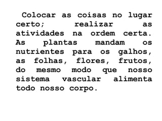 Colocar as coisas no lugar certo; realizar as atividades na ordem certa. As plantas mandam os nutrientes para os galhos, as folhas, flores, frutos, do mesmo modo que nosso sistema vascular alimenta todo nosso corpo. 