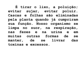 É tirar o lixo, a poluição; evitar sujar, evitar poluir. Cascas e folhas são eliminadas pela planta quando já cumpriram sua função. Nosso organismo se limpa no suor, na respiração, nas fezes e na urina e em muitas outras formas de se manter, de se livrar das toxinas e excessos. 