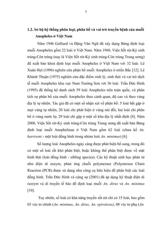 5
1.2. Sơ bộ hệ thống phân loại, phân bố và vai trò truyền bệnh của muỗi
Anopheles ở Việt Nam
Năm 1946 Galliard và Đặng Văn Ngữ đã xây dựng Bảng định loại
muỗi Anopheles gồm 22 loài ở Việt Nam. Năm 1968, Viện Sốt rét-Ký sinh
trùng-Côn trùng (nay là Viện Sốt rét-Ký sinh trùng-Côn trùng Trung ương)
đã xuất bản khoá định loại muỗi Anopheles ở Việt Nam với 32 loài. Lê
Xuân Hợi (1996) nghiên cứu phân bố muỗi Anopheles ở miền Bắc [12]. Lê
Khánh Thuận (1975) nghiên cứu đặc điểm sinh lý, sinh thái và vai trò dịch
tễ muỗi Anopheles khu vực Nam Trường Sơn với 36 loài. Trần Đức Hinh
(1995) đã thống kê danh sách 59 loài Anopheles trên toàn quốc, và phân
tích sự phân bố của muỗi Anopheles theo cảnh quan, độ cao và theo vùng
địa lý tự nhiên. Tác giả đã có một số nhận xét về phân bố: 5 loài bắt gặp ở
mọi vùng tự nhiên, 20 loài chỉ phát hiện ở vùng núi đồi, hai loài chỉ phân
bố ở vùng nước lợ, 29 loài chỉ gặp ở một số khu địa lý nhất định [8]. Năm
2008, Viện Sốt rét-Ký sinh trùng-Côn trùng Trung ương đã xuất bản Bảng
định loại muỗi Anophelinae ở Việt Nam gồm 62 loài (chưa kể An.
harrisoni - một loài đồng hình trong nhóm loài An. minimus) [6].
Số lượng loài Anopheles ngày càng được phát hiện bổ sung, trong đó
có một số loài rất khó phân biệt, hoặc không thể phân biệt được về mặt
hình thái (loài đồng hình - sibling species). Các kỹ thuật sinh học phân tử
như điện di enzym, phản ứng chuỗi polymerase (Polymerase Chain
Reaction (PCR) được sử dụng như công cụ hữu hiệu để phân biệt các loài
đồng hình. Trần Đức Hinh và cộng sự (2001) đã áp dụng kỹ thuật điện di
isozym và di truyền tế bào để định loại muỗi An. dirus và An. minimus
[10].
Tuy nhiên, số loài có khả năng truyền sốt rét chỉ có 15 loài, bao gồm
03 véc tơ chính (An. minimus, An. dirus, An. epiroticus), 08 véc tơ phụ (An.
 