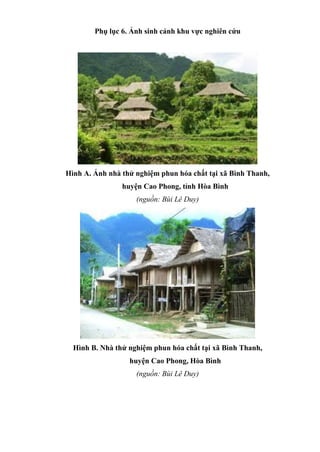 Phụ lục 6. Ảnh sinh cảnh khu vực nghiên cứu
Hình A. Ảnh nhà thử nghiệm phun hóa chất tại xã Bình Thanh,
huyện Cao Phong, tỉnh Hòa Bình
(nguồn: Bùi Lê Duy)
Hình B. Nhà thử nghiệm phun hóa chất tại xã Bình Thanh,
huyện Cao Phong, Hòa Bình
(nguồn: Bùi Lê Duy)
 