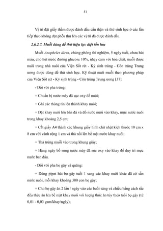 51
Vị trí đặt giấy thấm được đánh dấu cẩn thận và thử sinh học ở các lần
tiếp theo không đặt phễu thử lên các vị trí đã được đánh dấu.
2.6.2.7. Muỗi dùng để thử hiệu lực diệt tồn lưu
Muỗi Anopheles dirus, chủng phòng thí nghiệm, 5 ngày tuổi, chưa hút
máu, cho hút nước đường glucose 10%, nhạy cảm với hóa chất, muỗi được
nuôi trong nhà nuôi của Viện Sốt rét - Ký sinh trùng - Côn trùng Trung
ương được dùng để thử sinh học. Kỹ thuật nuôi muỗi theo phương pháp
của Viện Sốt rét - Ký sinh trùng - Côn trùng Trung ương [37].
- Đối với pha trứng:
+ Chuẩn bị nước máy đã sục oxy để nuôi;
+ Ghi các thông tin lên thành khay nuôi;
+ Đặt khay nuôi lên bàn đá và đổ nước nuôi vào khay, mực nước nuôi
trong khay khoảng 2,5 cm;
+ Cắt giấy A4 thành các khung giấy hình chữ nhật kích thước 10 cm x
8 cm với vành rộng 1 cm và thả nổi lên bề mặt nước khay nuôi;
+ Thả trứng muỗi vào trong khung giấy;
+ Hàng ngày bổ sung nước máy đã sục oxy vào khay để duy trì mực
nước ban đầu.
- Đối với pha bọ gậy và quăng:
+ Dùng pipet hút bọ gậy tuổi 1 sang các khay nuôi khác đã có sẵn
nước nuôi, mỗi khay khoảng 300 con bọ gậy;
+ Cho bọ gậy ăn 2 lần / ngày vào các buổi sáng và chiều bằng cách rắc
đều thức ăn lên bề mặt khay nuôi với lượng thức ăn tùy theo tuổi bọ gậy (từ
0,01 - 0,03 gam/khay/ngày);
 