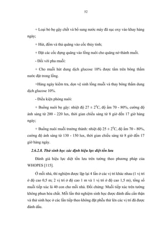 52
+ Loại bỏ bọ gậy chết và bổ sung nước máy đã sục oxy vào khay hàng
ngày;
+ Hút, đếm và thả quăng vào cốc thủy tinh;
+ Đặt các cốc đựng quăng vào lồng nuôi cho quăng nở thành muỗi.
- Đối với pha muỗi:
+ Cho muỗi hút dung dịch glucose 10% được tẩm trên bông thấm
nước đặt trong lồng.
+Hàng ngày kiểm tra, dọn vệ sinh lồng muỗi và thay bông thấm dung
dịch glucose 10%.
- Điều kiện phòng nuôi:
+ Buồng nuôi bọ gậy: nhiệt độ 27 ± 20
C, độ ẩm 70 - 80%, cường độ
ánh sáng từ 200 - 220 lux, thời gian chiếu sáng từ 8 giờ đến 17 giờ hàng
ngày;
+ Buồng nuôi muỗi trưởng thành: nhiệt độ 25 ± 20
C, độ ẩm 70 - 80%,
cường độ ánh sáng từ 130 - 150 lux, thời gian chiếu sáng từ 8 giờ đến 17
giờ hàng ngày.
2.6.2.8. Thử sinh học xác định hiệu lực diệt tồn lưu
Đánh giá hiệu lực diệt tồn lưu trên tường theo phương pháp của
WHOPES [115].
Ở mỗi nhà, thí nghiệm được lặp lại 4 lần ở các vị trí khác nhau (1 vị trí
ở độ cao 0,5 m; 2 vị trí ở độ cao 1 m và 1 vị trí ở độ cao 1,5 m), tổng số
muỗi tiếp xúc là 40 con cho mỗi nhà. Đối chứng: Muỗi tiếp xúc trên tường
không phun hóa chất. Mỗi lần thử nghiệm sinh học được đánh dấu cẩn thận
và thử sinh học ở các lần tiếp theo không đặt phễu thử lên các vị trí đã được
đánh dấu.
 