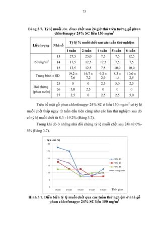75
Bảng 3.7. Tỷ lệ muỗi An. dirus chết sau 24 giờ thử trên tường gỗ phun
chlorfenapyr 24% SC liều 150 mg/m2
Liều lượng Nhà số
Tỷ lệ % muỗi chết sau các tuần thử nghiệm
1 tuần 2 tuần 4 tuần 5 tuần 6 tuần
150 mg/m2
13 27,5 25,0 7,5 7,5 12,5
14 17,5 12,5 12,5 7,5 7,5
15 12,5 12,5 7,5 10,0 10,0
Trung bình ± SD
19,2 ±
7,6
16,7 ±
7,2
9,2 ±
2,9
8,3 ±
1,4
10,0 ±
2,5
Đối chứng
(phun nước)
25 0 0 2,5 5,0 2,5
26 5,0 2,5 0 0 0
27 2,5 0 2,5 2,5 5,0
Trên bề mặt gỗ phun chlorfenapyr 24% SC ở liều 150 mg/m2
có tỷ lệ
muỗi chết thấp ngay từ tuần đầu tiên cũng như các lần thử nghiệm sau đó
có tỷ lệ muỗi chết từ 8,3 - 19,2% (Bảng 3.7).
Trong khi đó ở những nhà đối chứng tỷ lệ muỗi chết sau 24h từ 0%-
5% (Bảng 3.7).
Hình 3.7. Diễn biến tỷ lệ muỗi chết qua các tuần thử nghiệm ở nhà gỗ
phun chlorfenapyr 24% SC liều 150 mg/m2
Thời gian
 