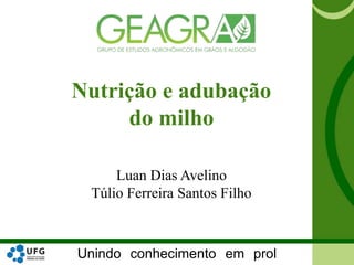 Unindo conhecimento em prol
Nutrição e adubação
do milho
Luan Dias Avelino
Túlio Ferreira Santos Filho
 