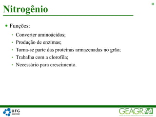  Funções:
• Converter aminoácidos;
• Produção de enzimas;
• Torna-se parte das proteínas armazenadas no grão;
• Trabalha com a clorofila;
• Necessário para crescimento.
Nitrogênio
11
 
