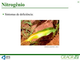  Sintomas de deficiência:
Nitrogênio
12
FONTE:AGEITEC, 2013
 