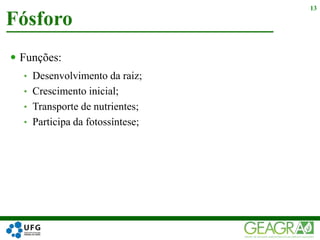  Funções:
• Desenvolvimento da raiz;
• Crescimento inicial;
• Transporte de nutrientes;
• Participa da fotossíntese;
Fósforo
13
 