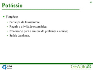  Funções:
• Participa da fotossíntese;
• Regula a atividade estomática;
• Necessário para a síntese de proteínas e amido;
• Saúde da planta.
Potássio
15
 