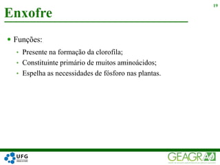  Funções:
• Presente na formação da clorofila;
• Constituinte primário de muitos aminoácidos;
• Espelha as necessidades de fósforo nas plantas.
Enxofre
19
 