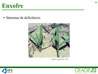  Sintomas de deficiência:
Enxofre
20
FONTE:AGEITEC, 2013
 