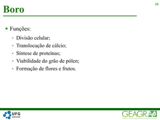  Funções:
• Divisão celular;
• Translocação de cálcio;
• Síntese de proteínas;
• Viabilidade do grão de pólen;
• Formação de flores e frutos.
Boro
24
 