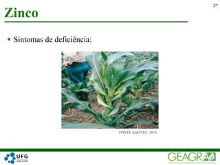  Sintomas de deficiência:
Zinco
27
FONTE:AGEITEC, 2013
 