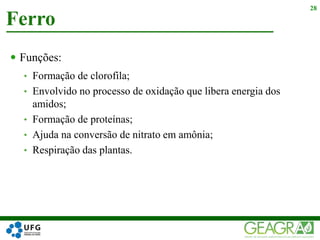  Funções:
• Formação de clorofila;
• Envolvido no processo de oxidação que libera energia dos
amidos;
• Formação de proteínas;
• Ajuda na conversão de nitrato em amônia;
• Respiração das plantas.
Ferro
28
 